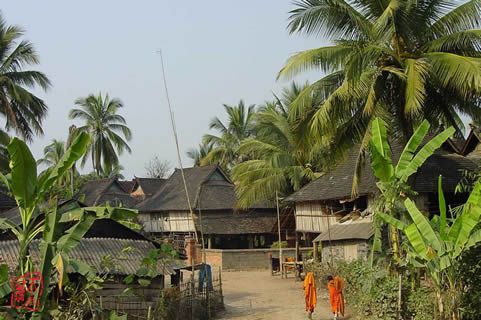 『隨華全，觀天下』 ——走進(jìn)勐海