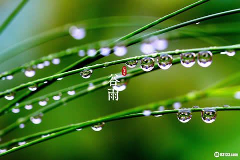 今日谷雨，華全動力提醒關注“聯合國中文日”