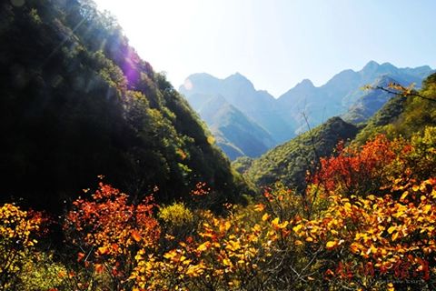 打鐵還需自身硬！柴油發電機組挺近“鍛造之鄉”