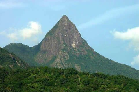 樂(lè)東雨林中國(guó)最美，卻對(duì)華全發(fā)電機(jī)組鐘愛(ài)有加