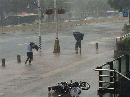 沒有三兩三，哪敢上梁山!無懼臺風(fēng)，穩(wěn)定發(fā)電，盡在華全