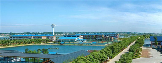 專業巡檢，熱心服務!華全發電機組助力養殖企業溫暖過冬!