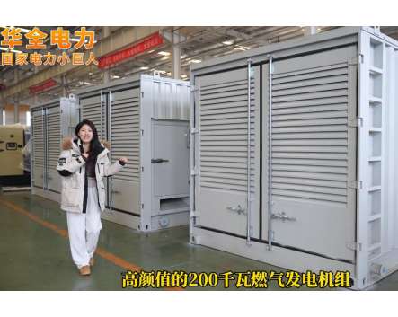 華全電力集裝箱燃?xì)獍l(fā)電機(jī)組，俄羅斯客戶定制，馬上發(fā)貨